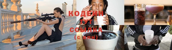 соль ск Медвежьегорск