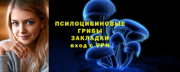 соль ск Медвежьегорск